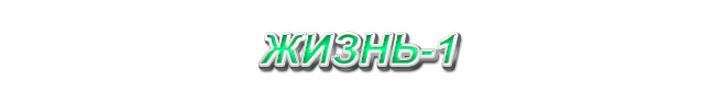 1. Жизнь-1
