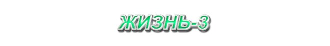 3. Жизнь-3