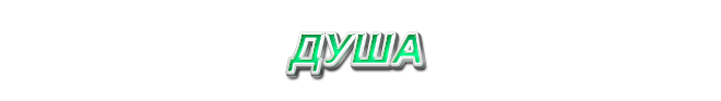 11. Душа
