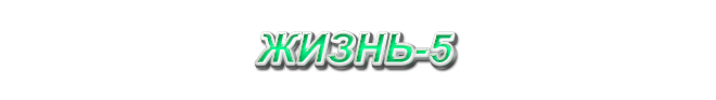 19. Жизнь-5