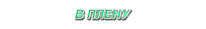 43. В плену